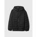 ColdControl Puffer Şişme Mont цвет: Чёрный