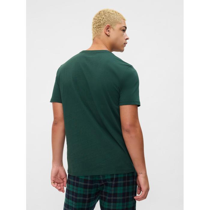 Everyday Soft Gap Logo T-Shirt цвет: Зелёный