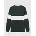 Gap Logo Polo Yaka Colorblock T-Shirt цвет: Зелёный