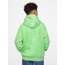 Vintage Soft Gap Logo Sweatshirt цвет: Зелёный