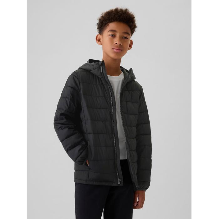 ColdControl Puffer Şişme Mont цвет: Чёрный