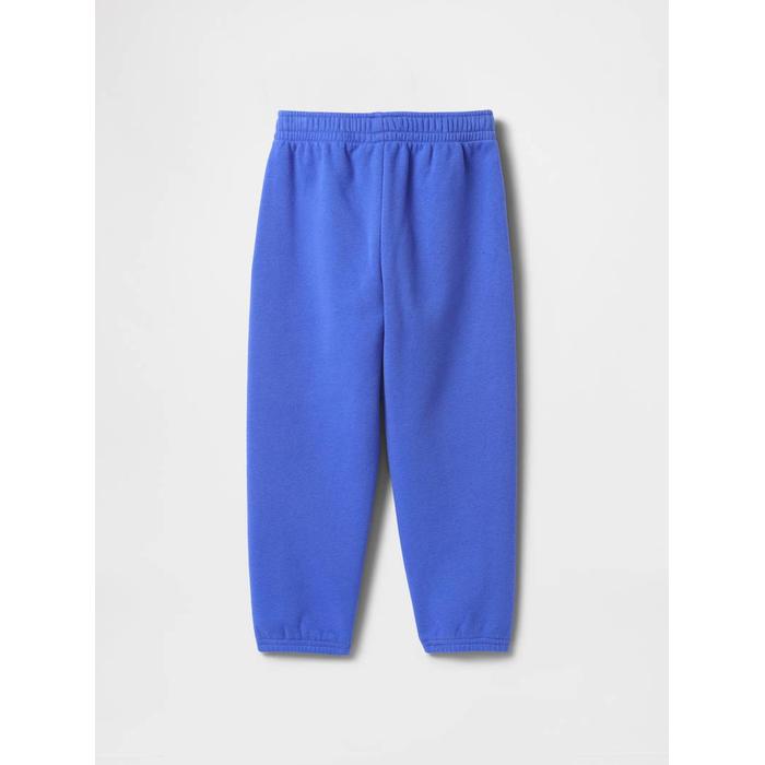 Винтажные Relaxed спортивные штаны для джоггера Soft Jogger цвет: Голубой