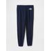 Спортивные штаны джоггера из французской махровой ткани с логотипом Gap цвет: Синий