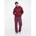 Gap Logo Fleece Sweatshirt цвет: Красный