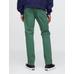 GapFlex Slim Fit City Max Jean Pantolon цвет: Зелёный