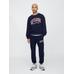 VintageSoft Gap Logo Sweatshirt цвет: Синий