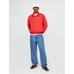 VintageSoft Gap Logo Polo Sweatshirt цвет: Красный