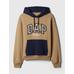 GAP X DAP Logo Colorblock Sweatshirt цвет: Коричневый