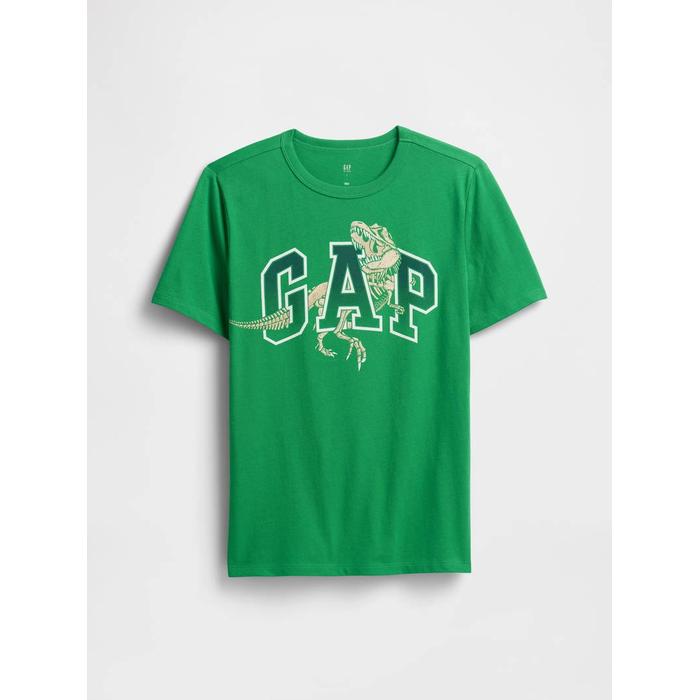 Grafik Baskılı T-Shirt цвет: Зелёный