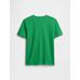 Grafik Baskılı T-Shirt цвет: Зелёный