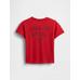 Superman Grafik Baskılı T-Shirt цвет: Красный