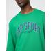 Oversized Gap Grafik Terry T-Shirt цвет: Зелёный