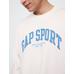 Oversized Gap Grafik Terry T-Shirt