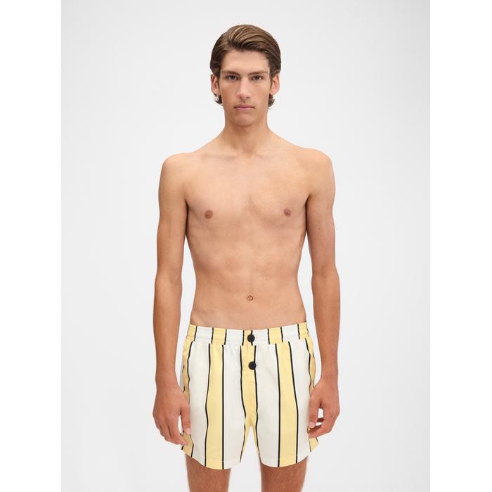 Полосатые плавательные шорты цвет: Print stripes white/yellow/black