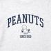 Футболка Peanuts UT цвет: Серый