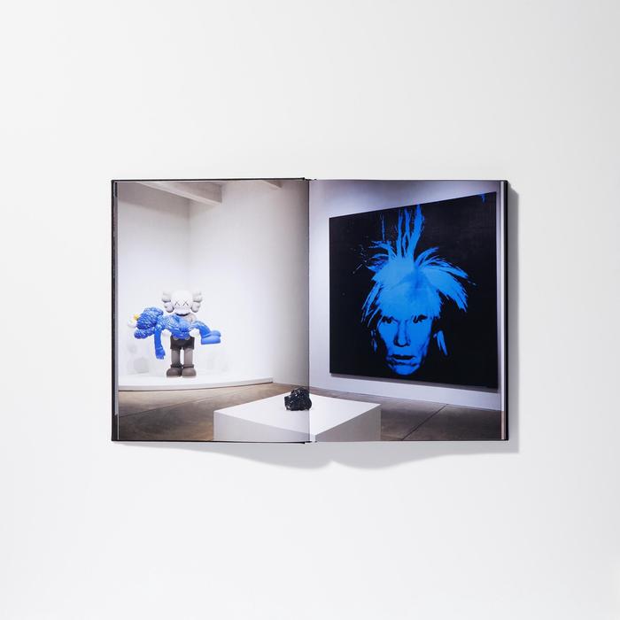 Kaws + Warhol Art Book цвет: Other