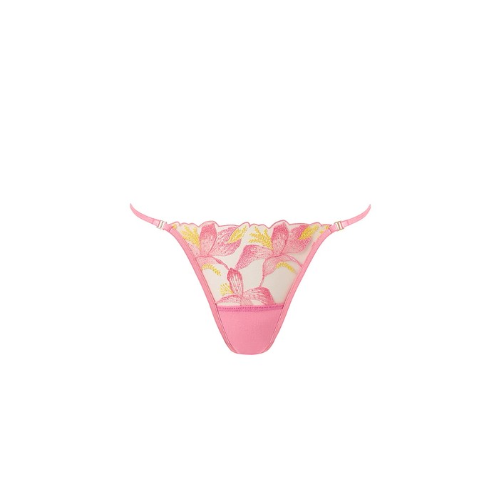Patrice Brief 