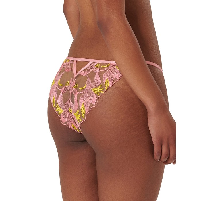 Patrice Brief 